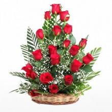 Gorgeous Roses